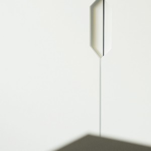 boss-office (interior architecture)